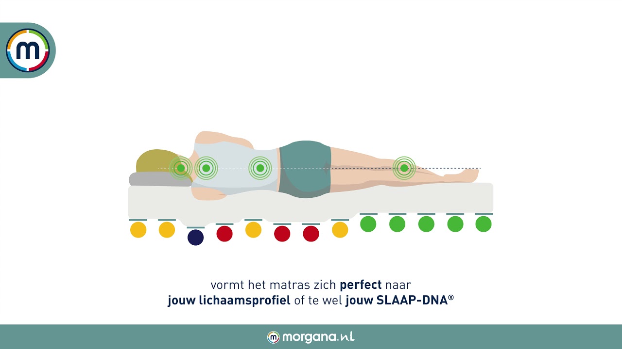 SLAAP-DNA meting